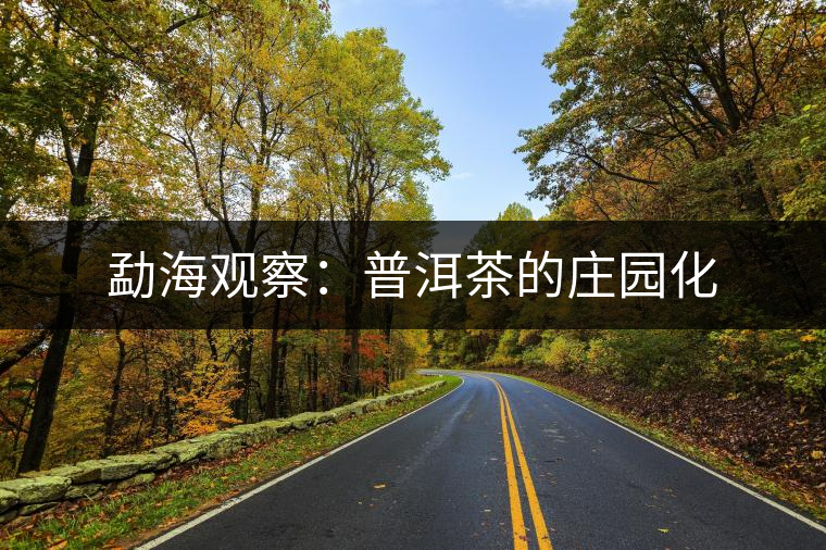 勐海觀察：普洱茶的莊園化