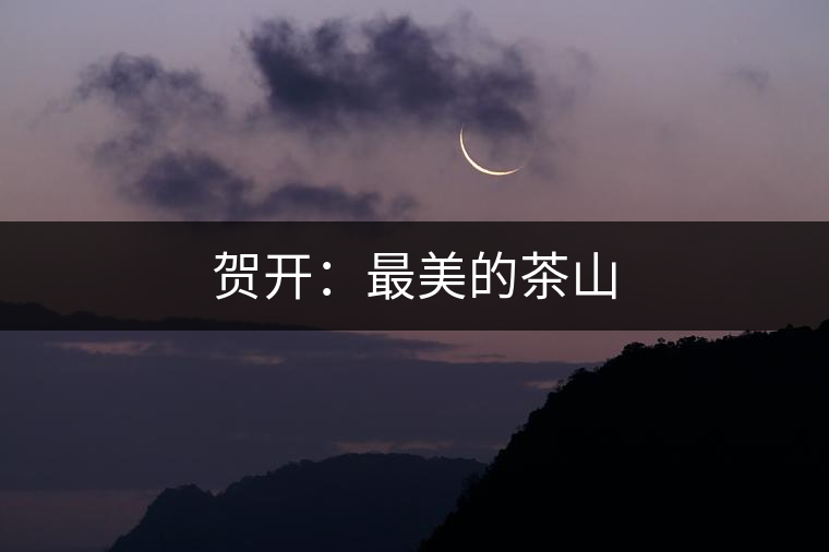 賀開(kāi)：最美的茶山