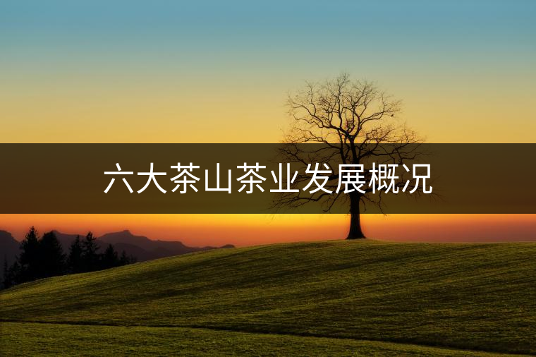 六大茶山茶業(yè)發(fā)展概況 六大茶山茶業(yè)發(fā)展概況