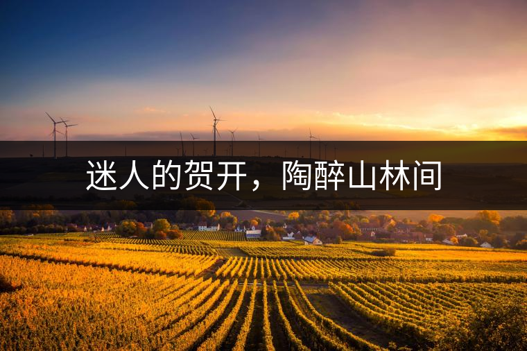 迷人的賀開，陶醉山林間