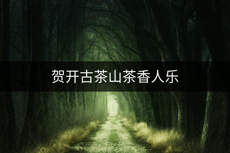賀開(kāi)古茶山茶香人樂(lè)