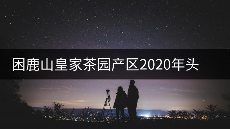 困鹿山皇家茶園產(chǎn)區(qū)2020年頭春古樹，白花林口感特點(diǎn)