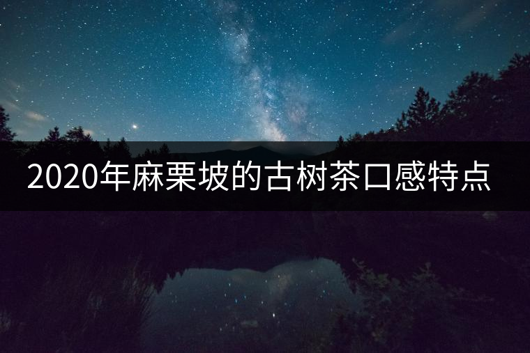 2020年麻栗坡的古樹茶口感特點(diǎn)是什么？