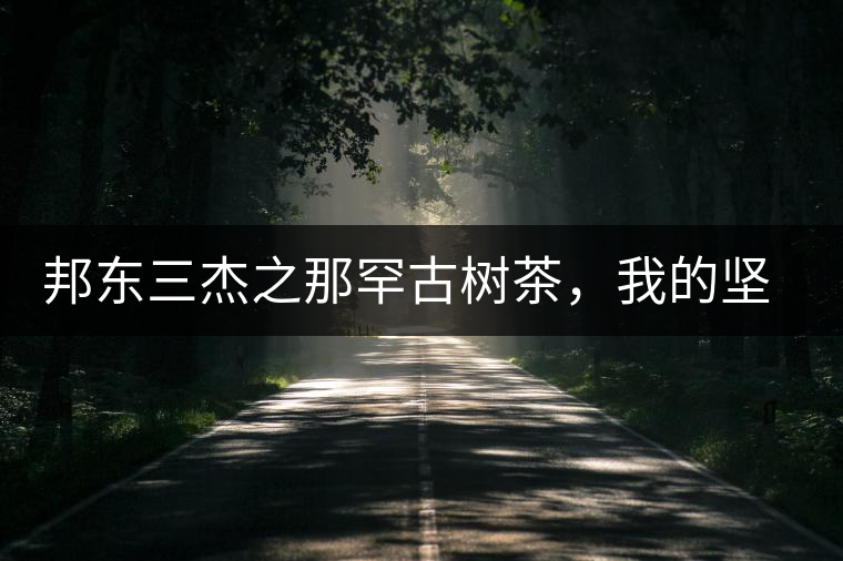 邦東三杰之那罕古樹茶，我的堅持