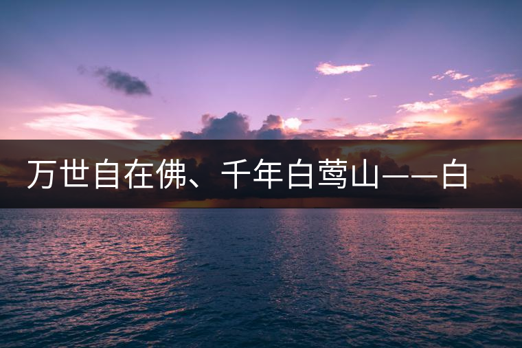 萬世自在佛、千年白鶯山——白鶯山古樹茶特點