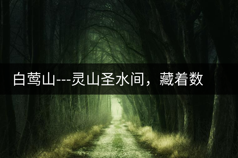 白鶯山---靈山圣水間，藏著數(shù)不盡的佛茶佳話