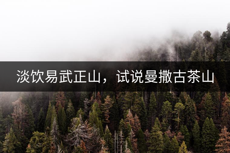 淡飲易武正山，試說曼撒古茶山