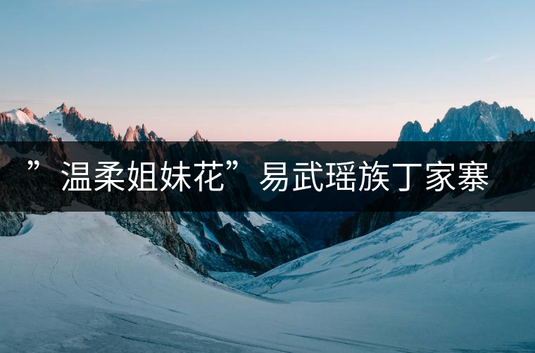 ”溫柔姐妹花”易武瑤族丁家寨、漢族丁家寨介紹