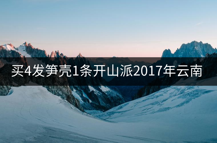 買4發(fā)筍殼1條開(kāi)山派2017年云南勐海熟沱緊壓 普洱茶熟茶沱100g 買4發(fā)筍殼1條開(kāi)山派2017年云南勐海熟沱緊壓 普洱茶熟茶沱100g
