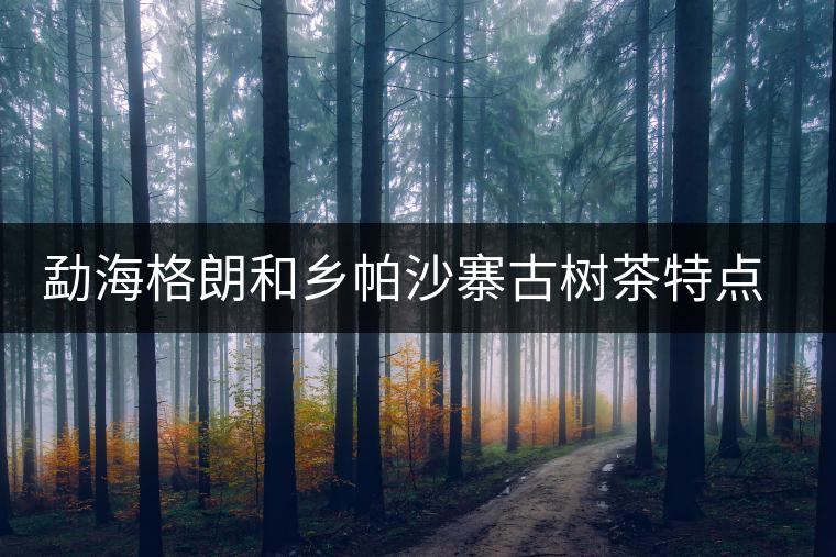 勐海格朗和鄉(xiāng)帕沙寨古樹茶特點(diǎn)介紹
