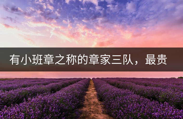 有小班章之稱的章家三隊，最貴的小樹茶