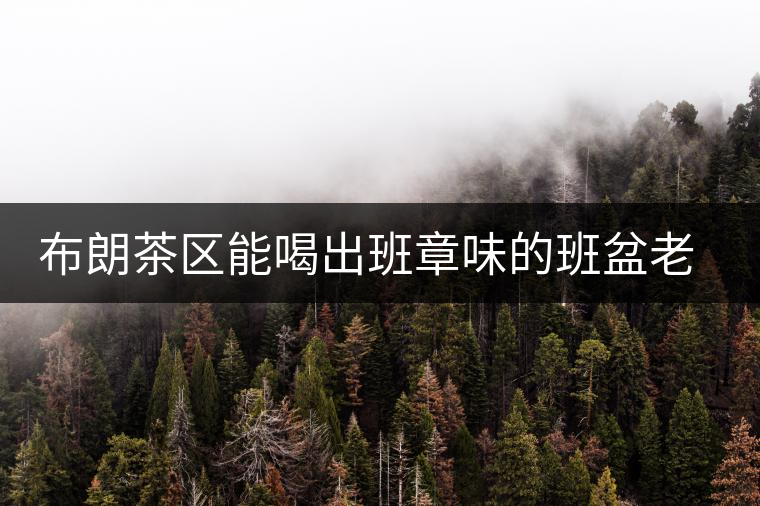 布朗茶區(qū)能喝出班章味的班盆老寨你知道嗎？