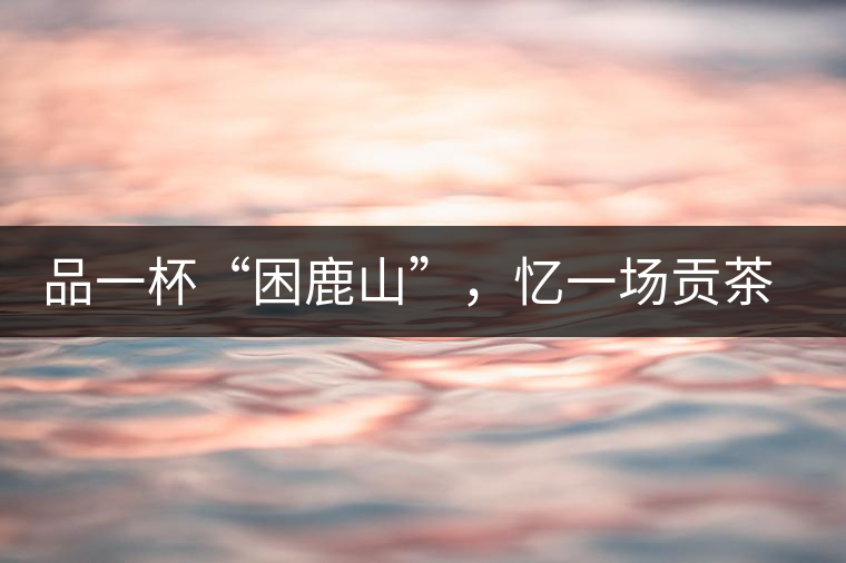 品一杯“困鹿山”，憶一場(chǎng)貢茶情