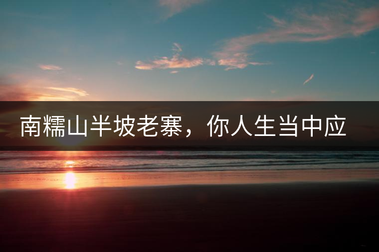 南糯山半坡老寨，你人生當中應該入手的第一片勐海味古樹純料普洱茶