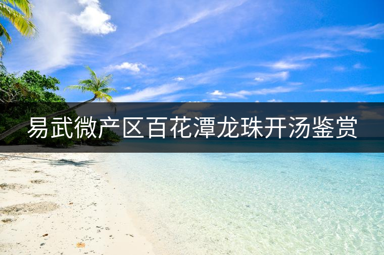 易武微產區(qū)百花潭龍珠開湯鑒賞 易武微產區(qū)百花潭龍珠開湯鑒賞