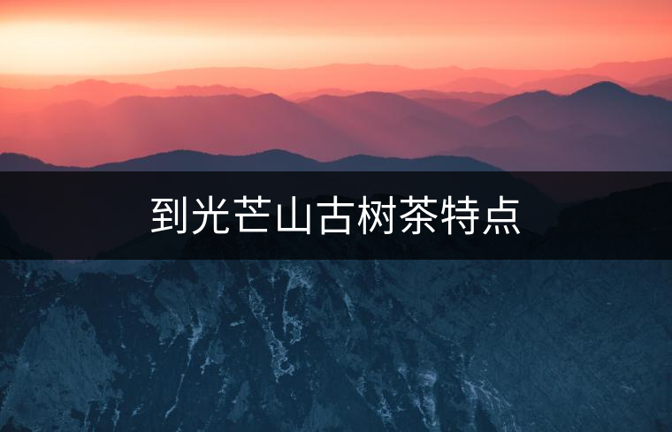 到光芒山古樹(shù)茶特點(diǎn)