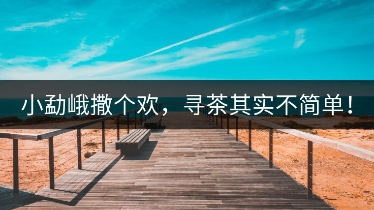 小勐峨撒個歡，尋茶其實不簡單！