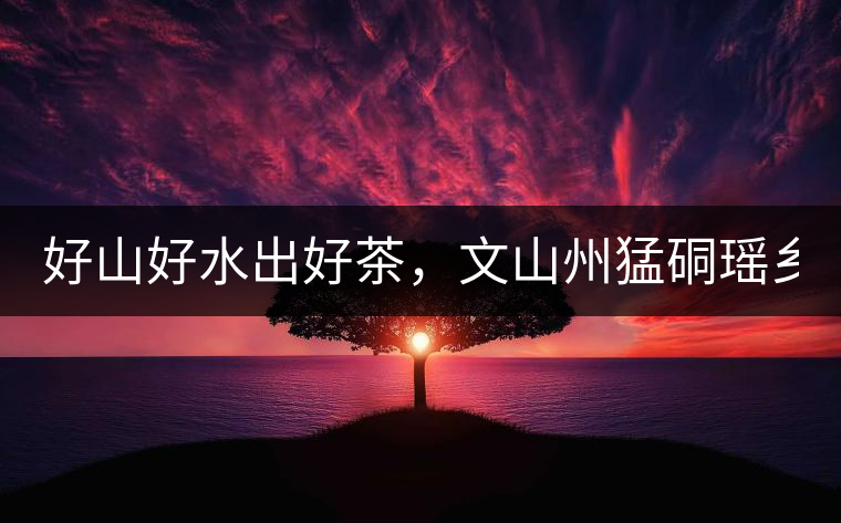 好山好水出好茶，文山州猛硐瑤鄉(xiāng)茶！
