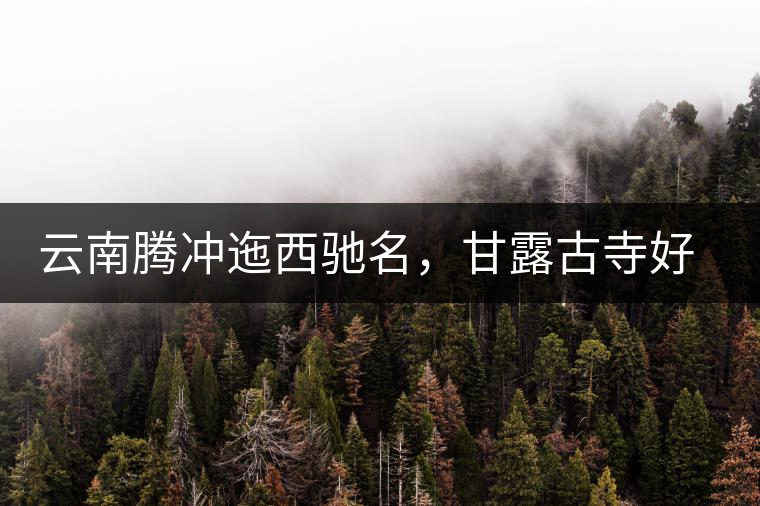 云南騰沖迤西馳名，甘露古寺好茶