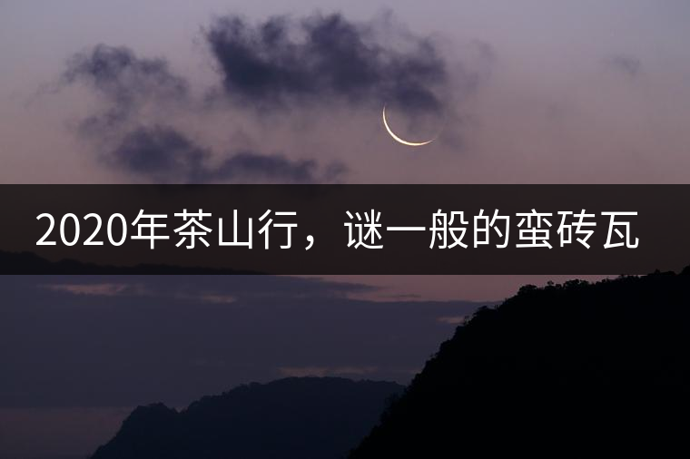 2020年茶山行，謎一般的蠻磚瓦竜古茶山