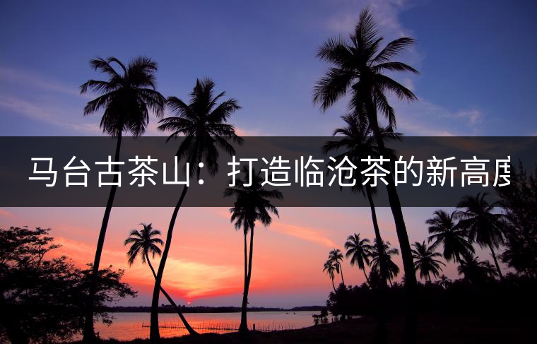馬臺(tái)古茶山：打造臨滄茶的新高度？