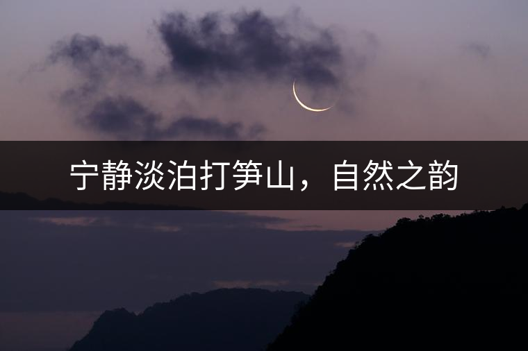 寧?kù)o淡泊打筍山，自然之韻