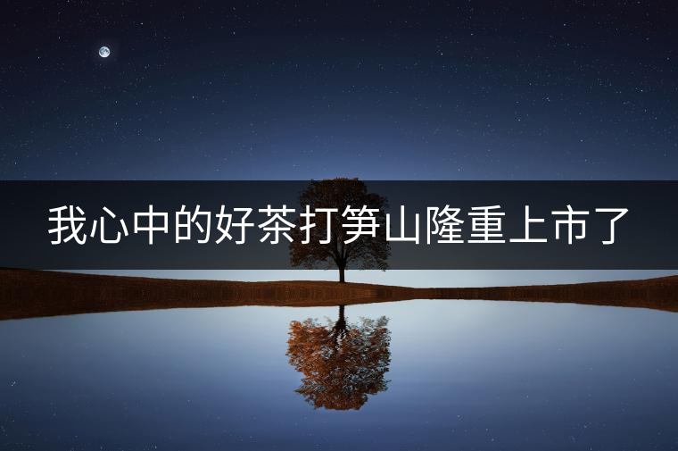 我心中的好茶打筍山隆重上市了 我心中的好茶打筍山隆重上市了