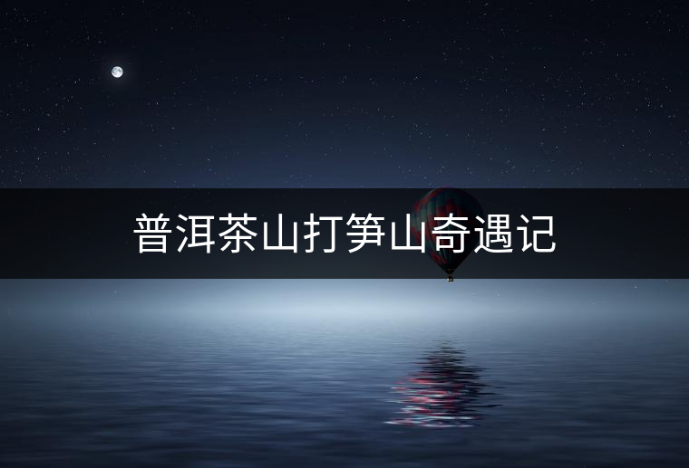 普洱茶山打筍山奇遇記 普洱茶山打筍山奇遇記