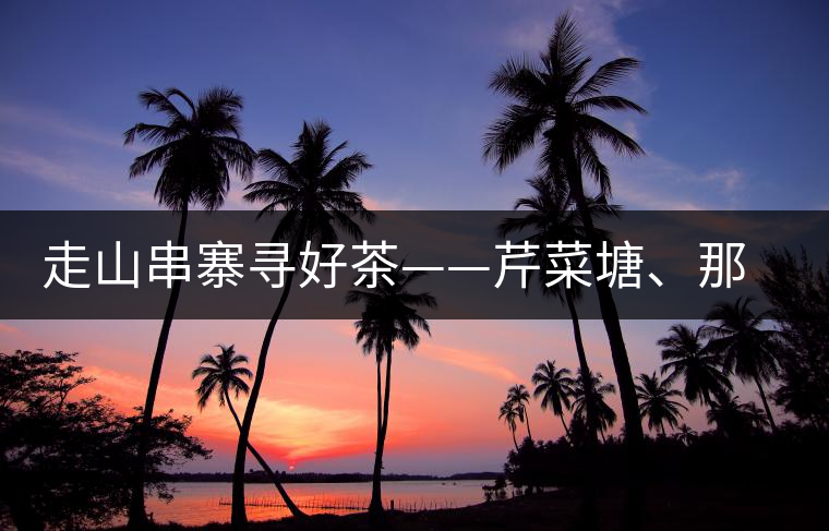 走山串寨尋好茶——芹菜塘、那罕、曼崗、昔歸