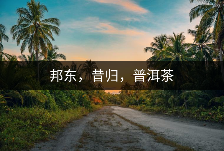 邦東，昔歸，普洱茶