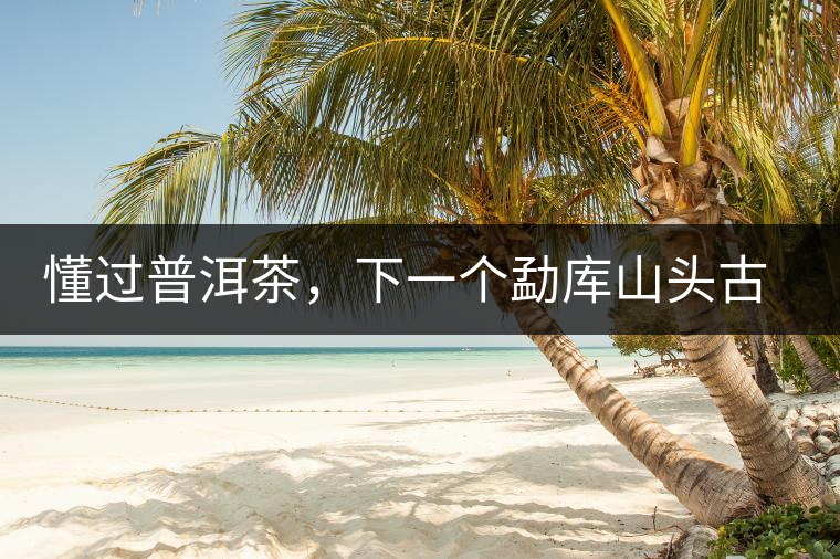 懂過(guò)普洱茶，下一個(gè)勐庫(kù)山頭古純的引爆點(diǎn)