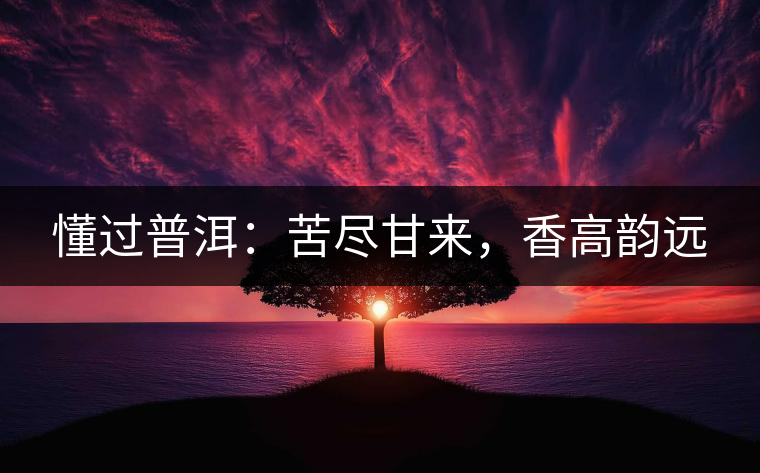 懂過普洱：苦盡甘來，香高韻遠(yuǎn)