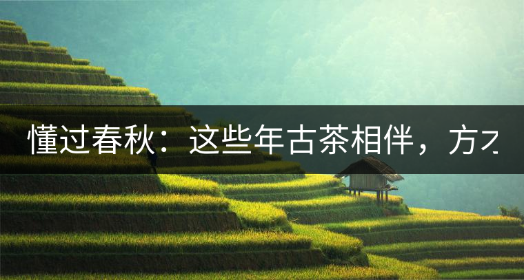 懂過春秋：這些年古茶相伴，方才懂過！