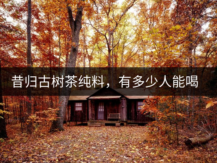 昔歸古樹(shù)茶純料，有多少人能喝到真品