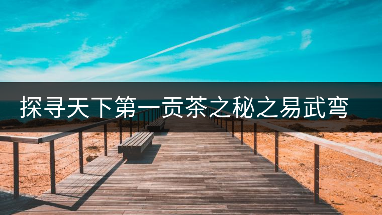 探尋天下第一貢茶之秘之易武彎弓古茶園