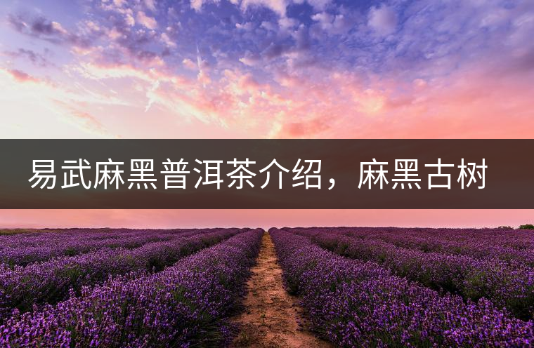 易武麻黑普洱茶介紹，麻黑古樹茶口感特點(diǎn)