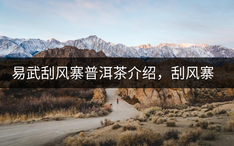 易武刮風(fēng)寨普洱茶介紹，刮風(fēng)寨古樹茶口感特點