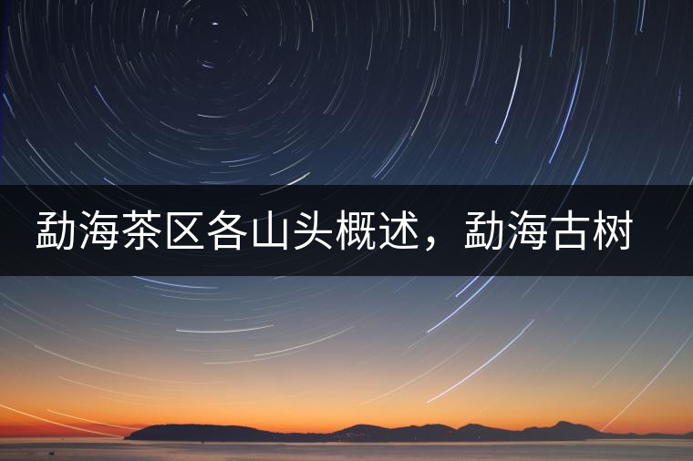 勐海茶區(qū)各山頭概述，勐海古樹茶口感特點(diǎn)