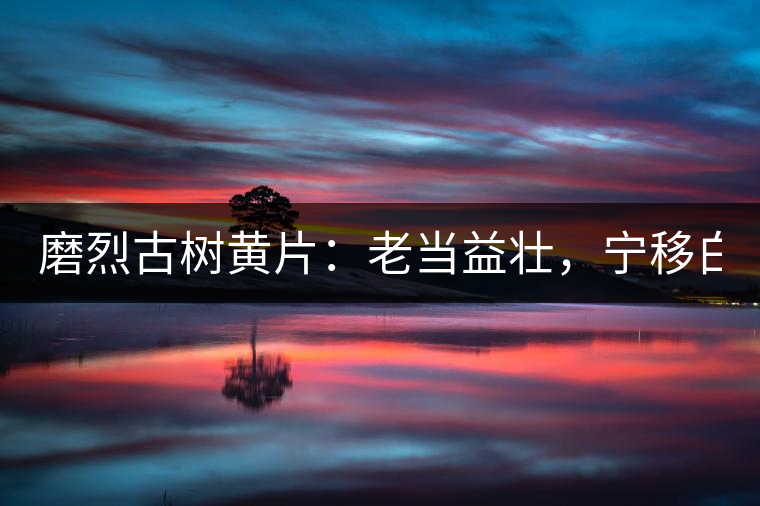 磨烈古樹黃片：老當益壯，寧移白首之心！