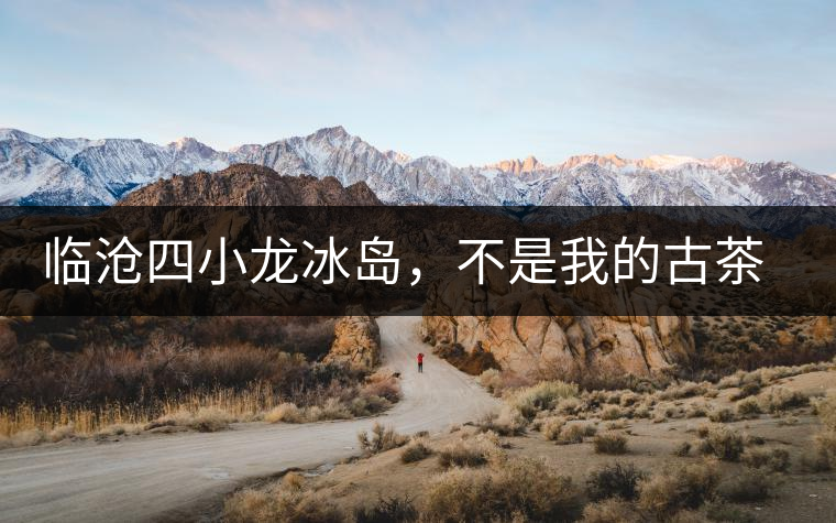 臨滄四小龍冰島，不是我的古茶夢(mèng)