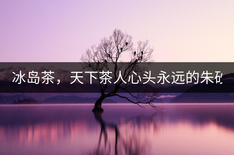 冰島茶，天下茶人心頭永遠的朱砂痣！