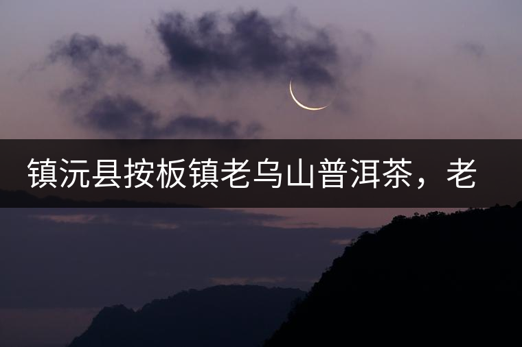 鎮(zhèn)沅縣按板鎮(zhèn)老烏山普洱茶，老烏山古樹茶口感特點(diǎn)