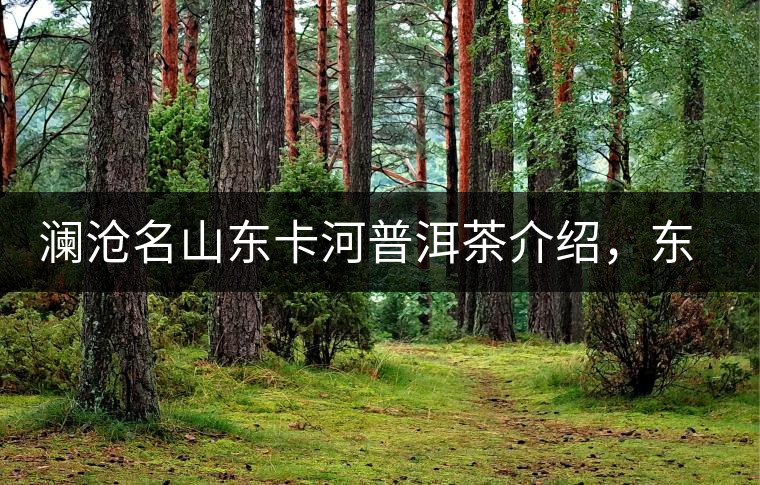 瀾滄名山東卡河普洱茶介紹，東卡河古樹(shù)茶口感特點(diǎn)