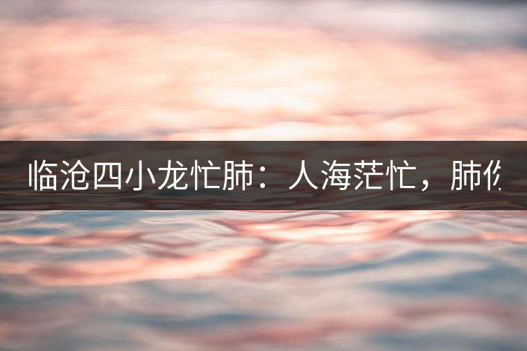 臨滄四小龍忙肺：人海茫忙，肺你莫屬！