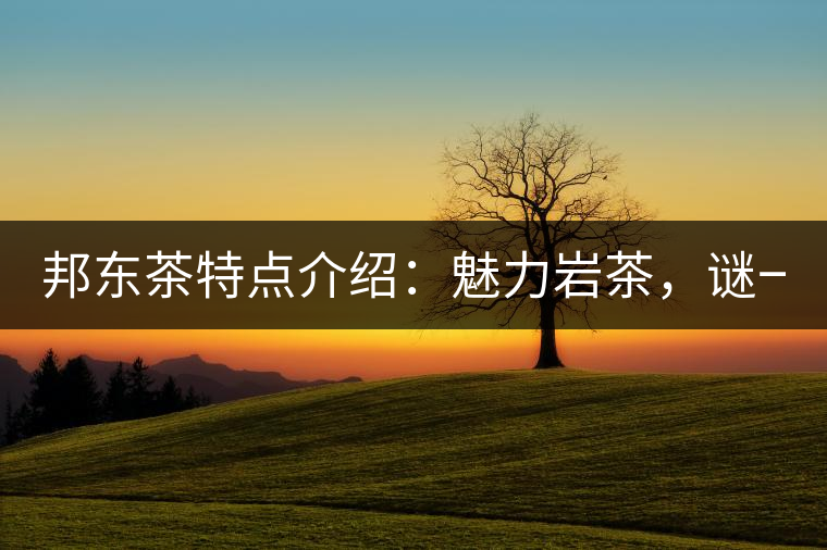 邦東茶特點(diǎn)介紹：魅力巖茶，謎一樣的邦東！