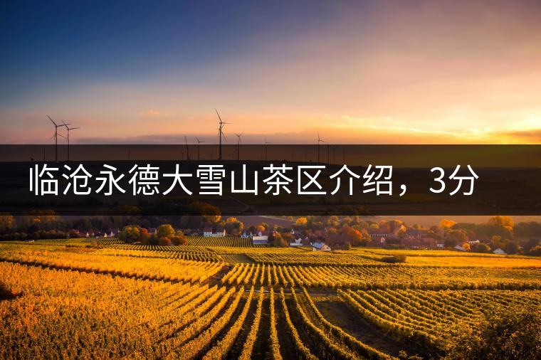 臨滄永德大雪山茶區(qū)介紹，3分鐘了解永德大雪山古樹(shù)茶