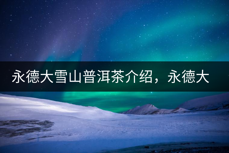 永德大雪山普洱茶介紹，永德大雪山古樹茶口感特點