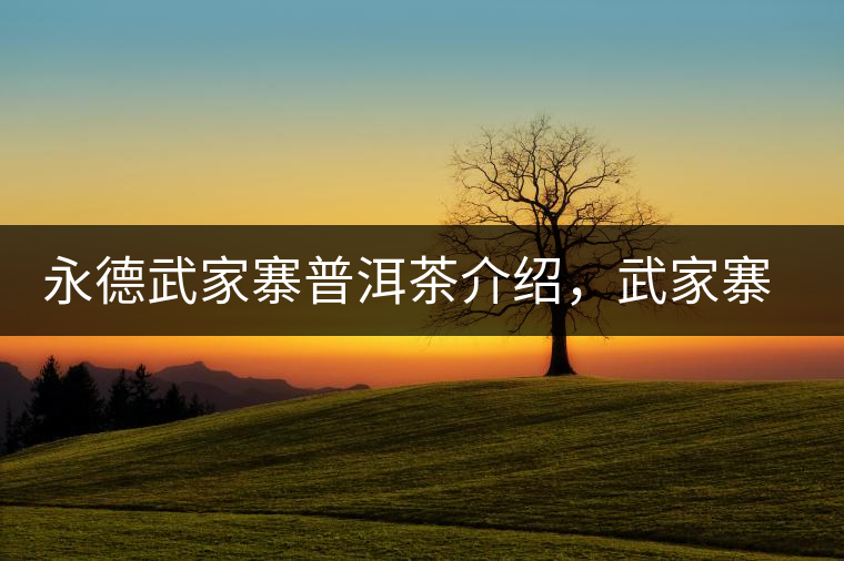 永德武家寨普洱茶介紹，武家寨古樹茶口感特點