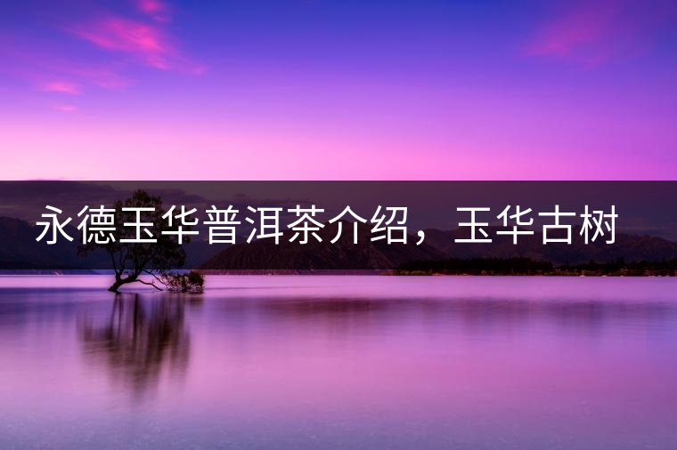 永德玉華普洱茶介紹，玉華古樹茶口感特點