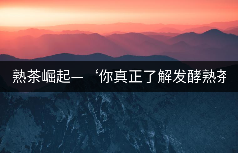 熟茶崛起—‘你真正了解發(fā)酵熟茶？’